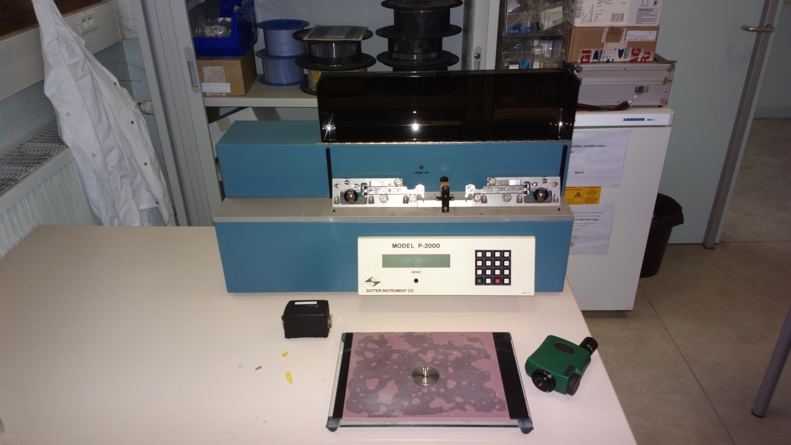 PRÉPARATION FIBRES ET MICROPIPETTES