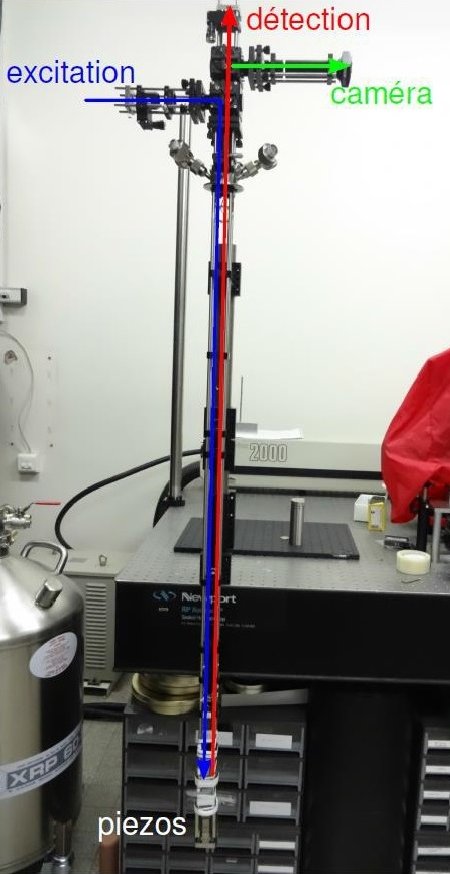 MICROSCOPE CONFOCAL BASSE TEMPÉRATURE